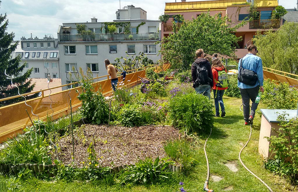 URBAN GARDENING – Gemüsevielfalt auf Balkon und Terrasse