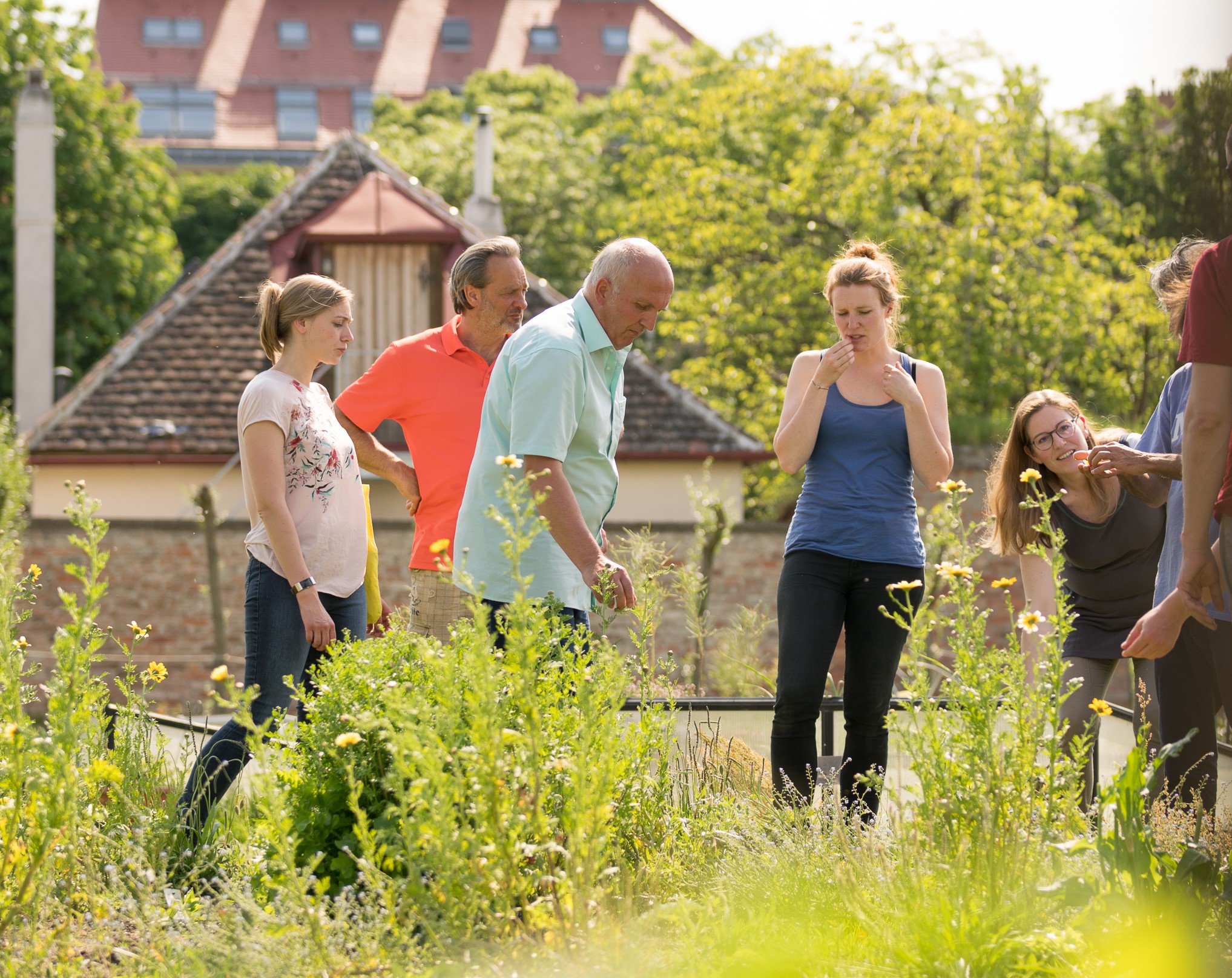 GARTENERLEBNISFÜHRUNG - SEPTEMBER