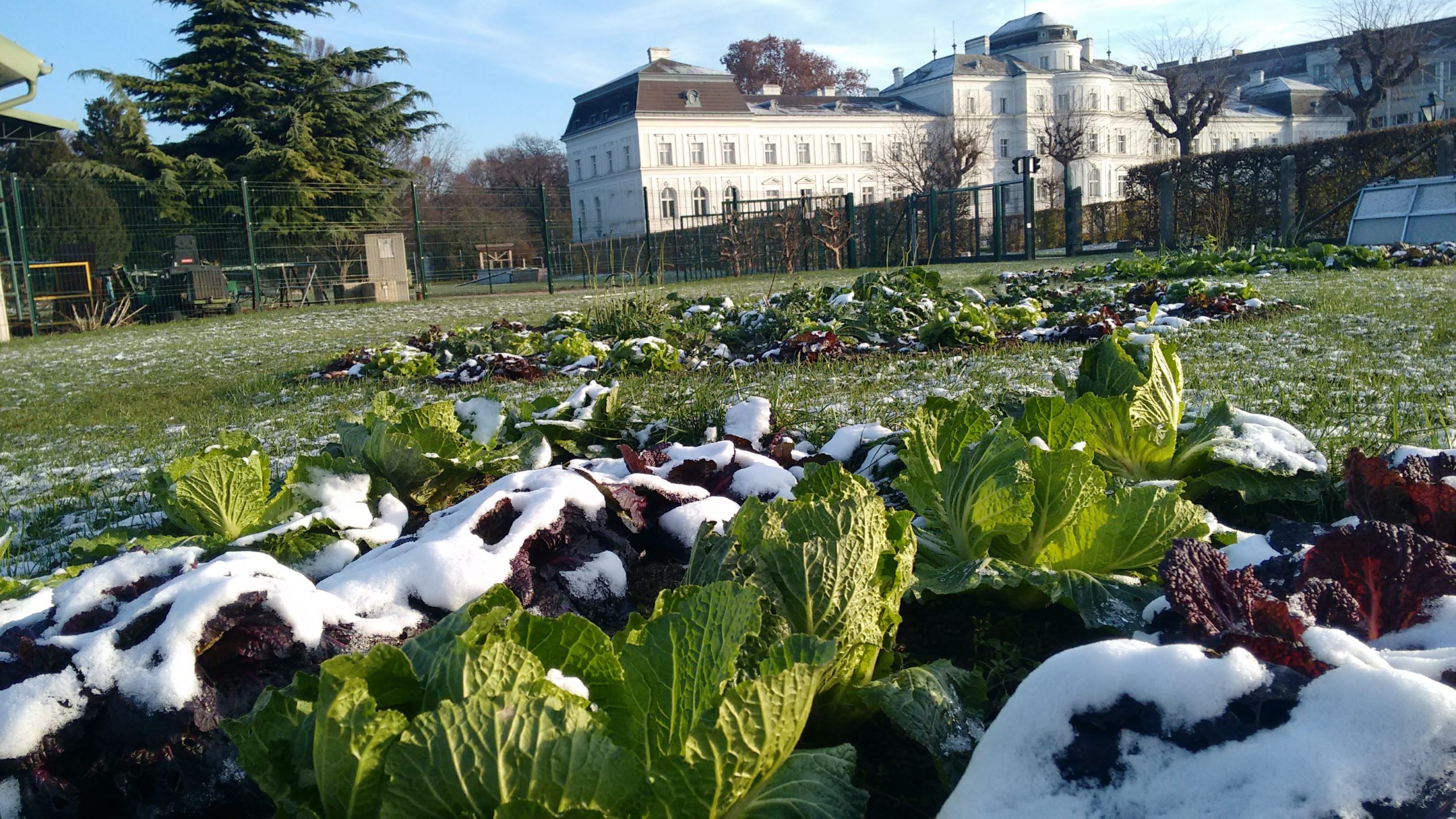 ABGESAGT: VORWEIHNACHTLICHE GARTENERLEBNISFÜHRUNG - DEZEMBER