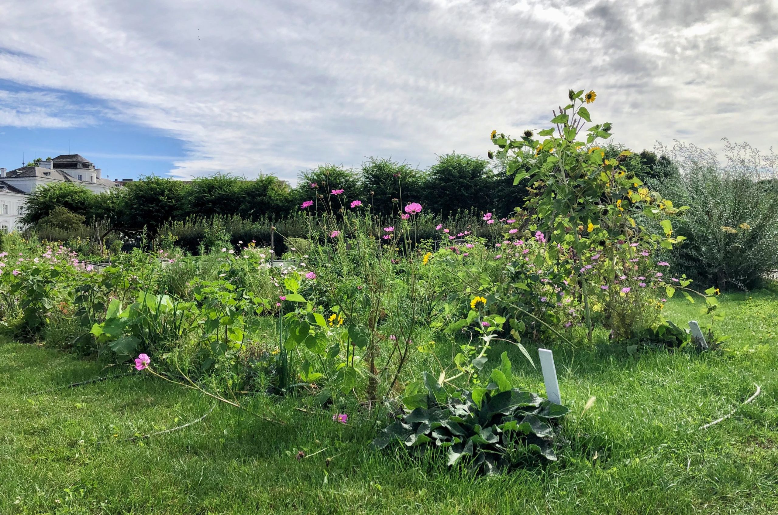 GARTENERLEBNISFÜHRUNG - Juni