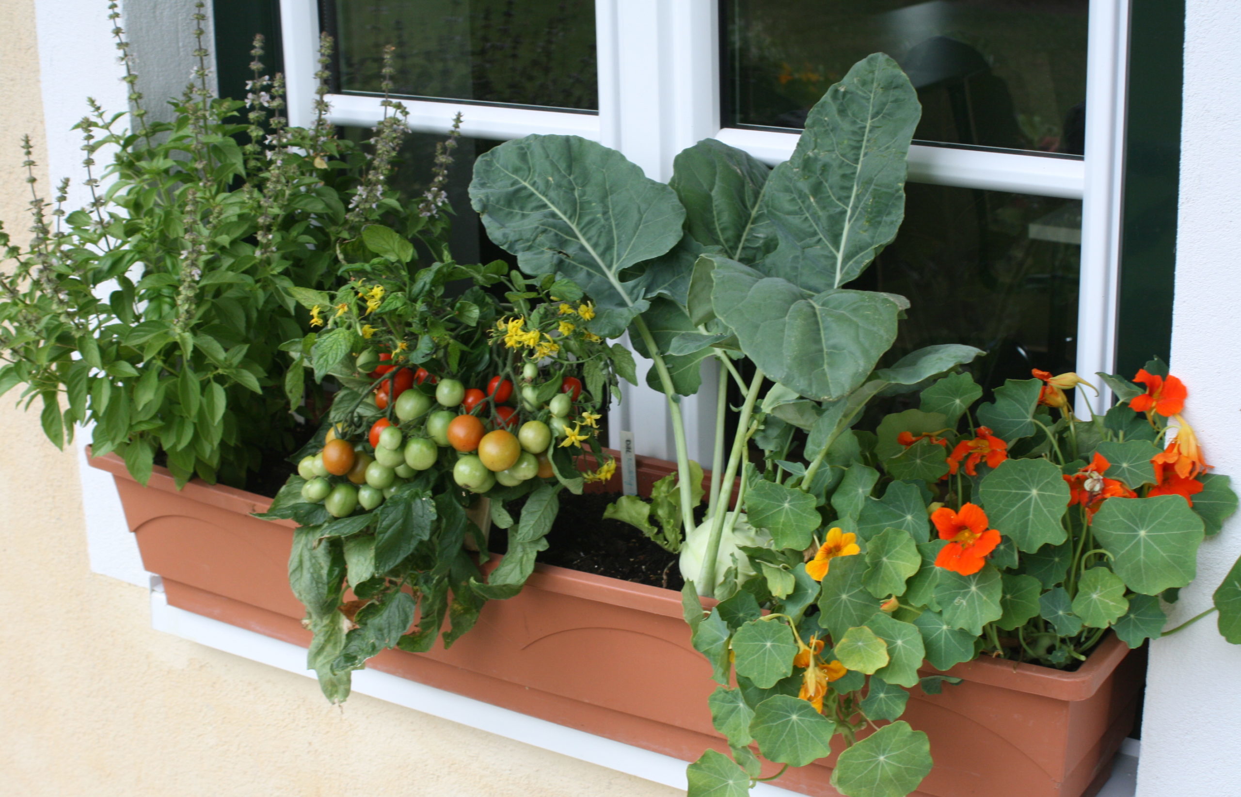 Verschoben auf 21. Mai: URBAN GARDENING - Gemüsevielfalt auf Balkon und Terrasse