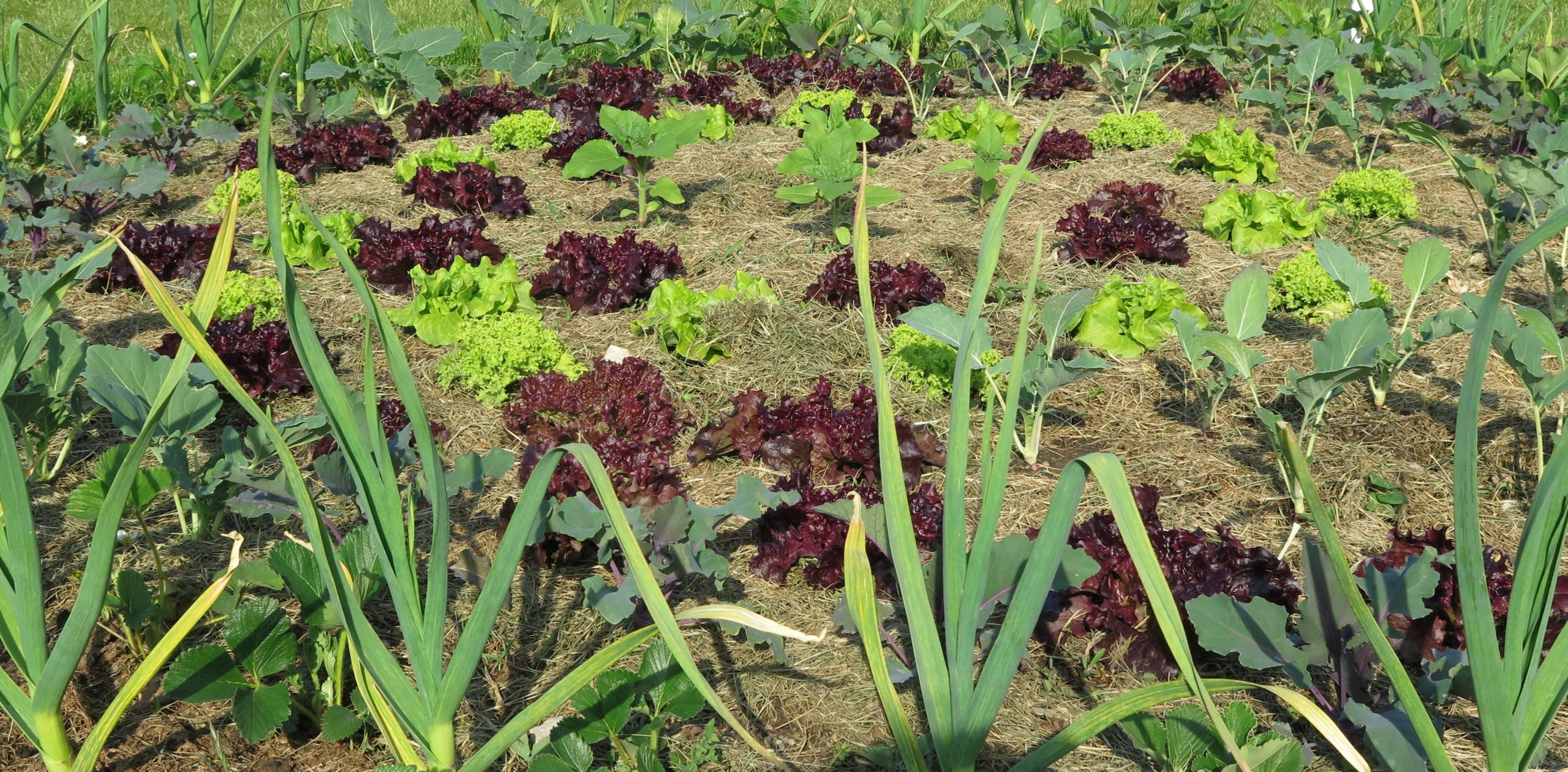 GARTENERLEBNISFÜHRUNG - März