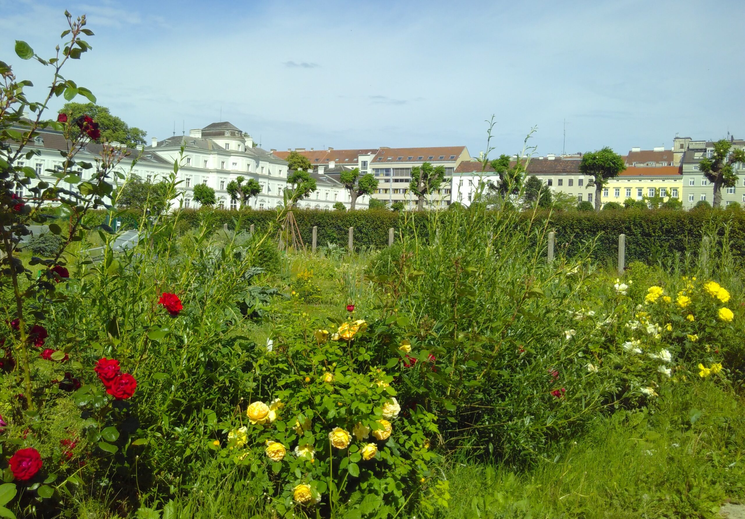 GARTENERLEBNISFÜHRUNG - Juli