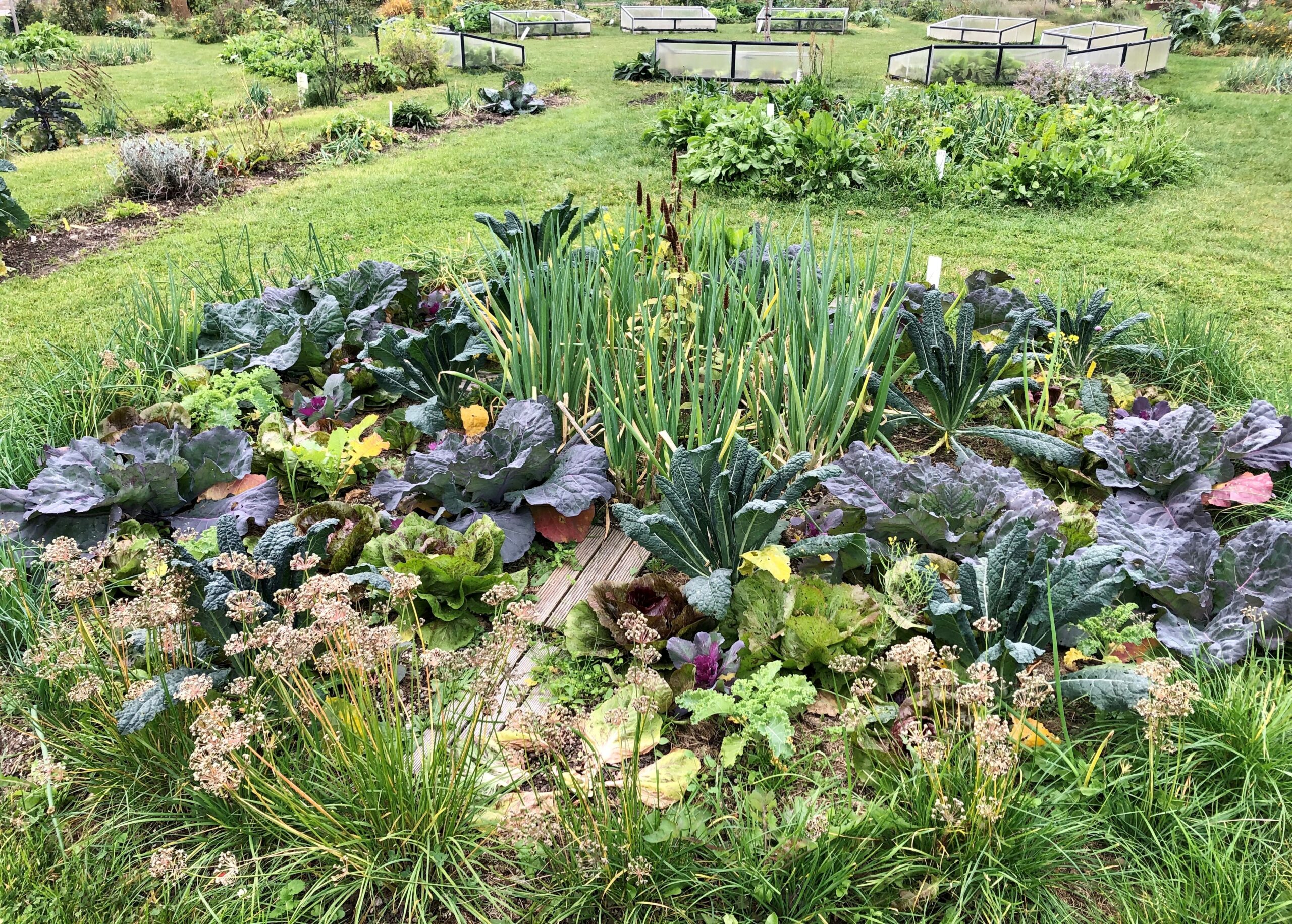 GARTENERLEBNISFÜHRUNG - SEPTEMBER