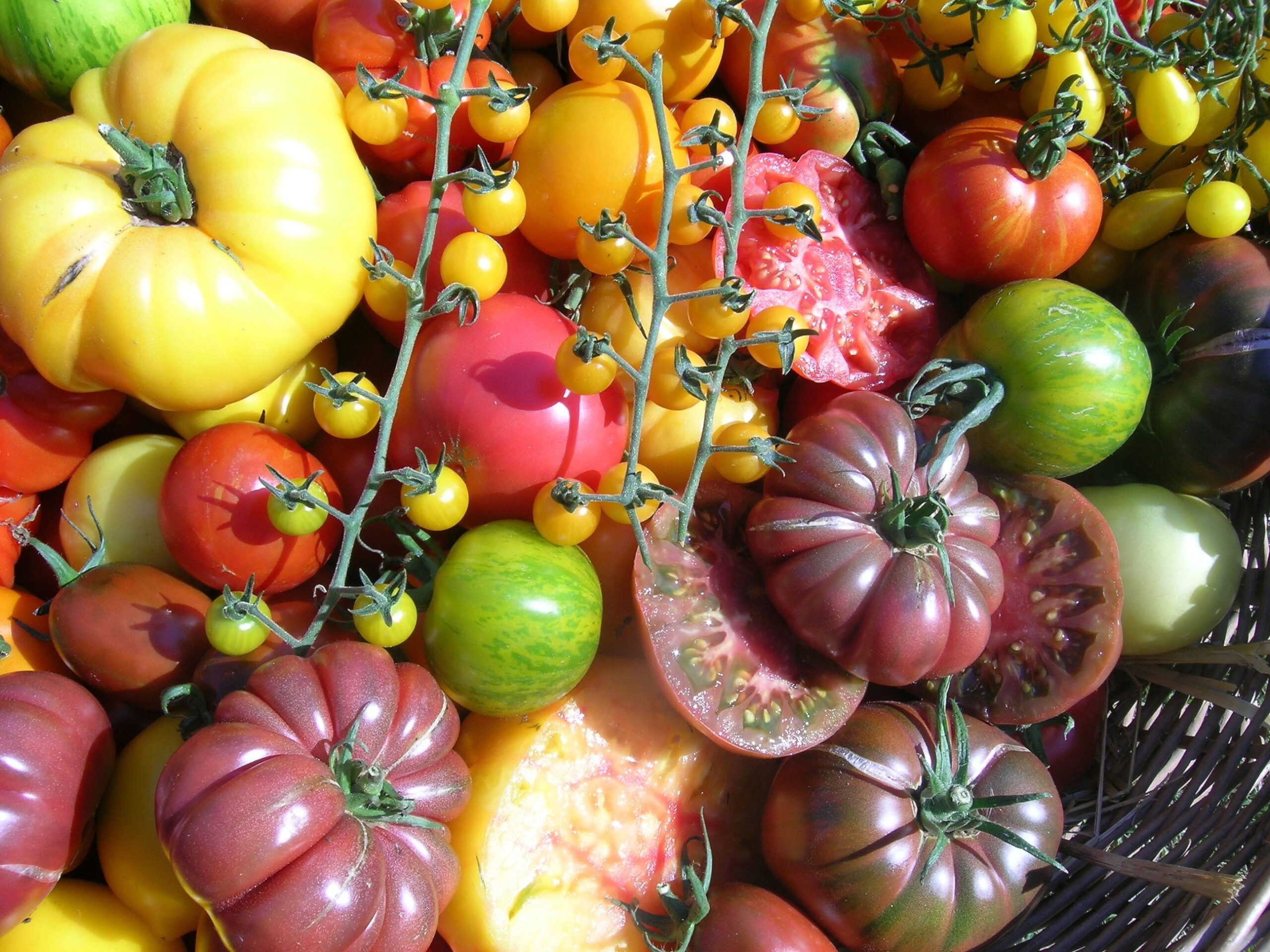 GARTENERLEBNISFÜHRUNG - August