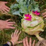 GARTENENTDECKER:INNEN - GARTENSINNE – die Faszination Garten