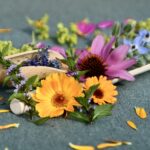 SUMMERFEELING ZUM VERSCHENKEN - Gesunde Kräutergeschenke aus dem eigenen Garten selber herstellen