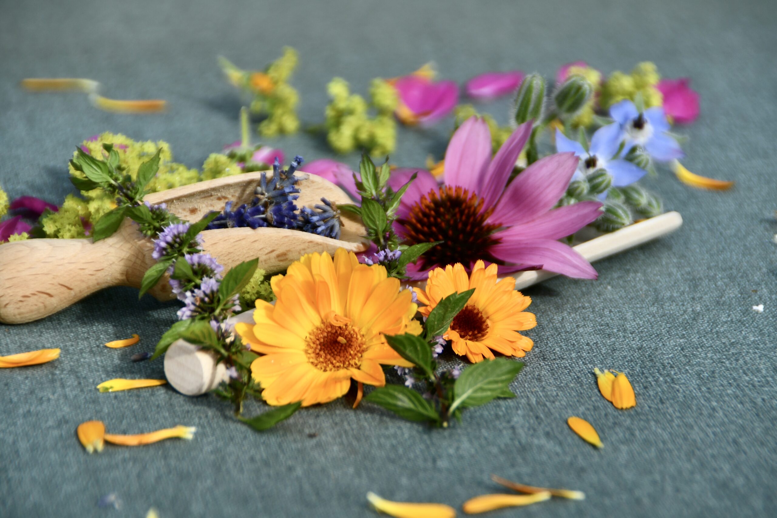 SUMMERFEELING ZUM VERSCHENKEN - Gesunde Kräutergeschenke aus dem eigenen Garten selber herstellen