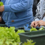 WINTERGEMÜSE I – Start in eine frische Gartensaison!