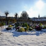 Unikat:Dinner im Glashaus der City Farm