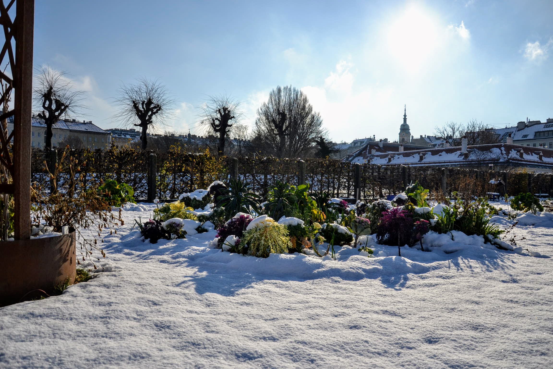 Unikat:Dinner im Glashaus der City Farm