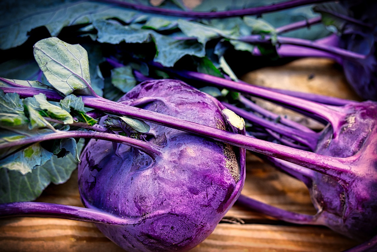 VON DER WURZEL BIS ZUM BLATT - wertvolle Gemüsepflanzen kulinarisch nutzen