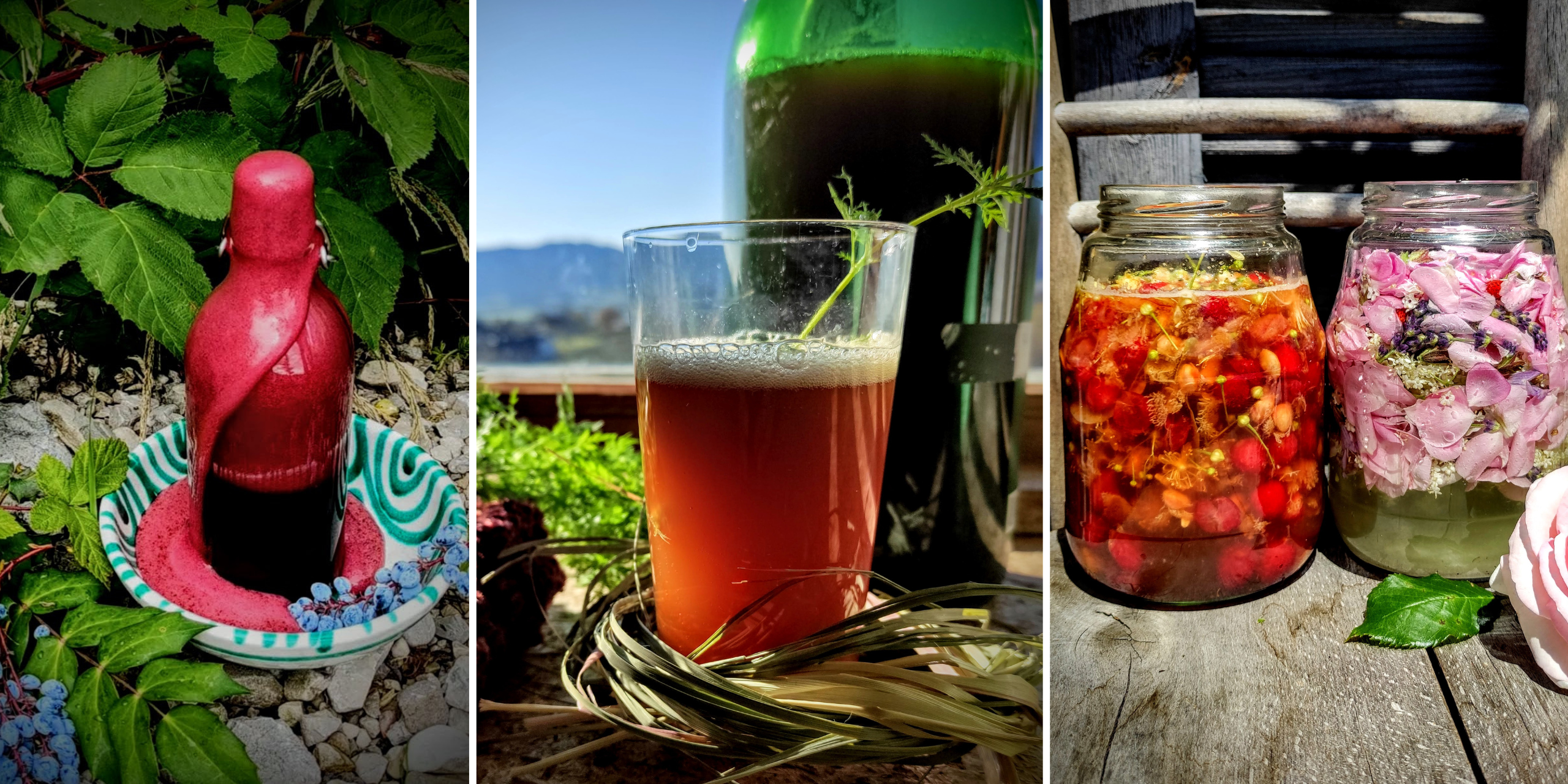 FERMENTIERTE DRINKS - Probiotische Getränke aus der heimischen Natur