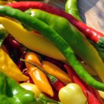 FIRE & ICE - Chili Festival