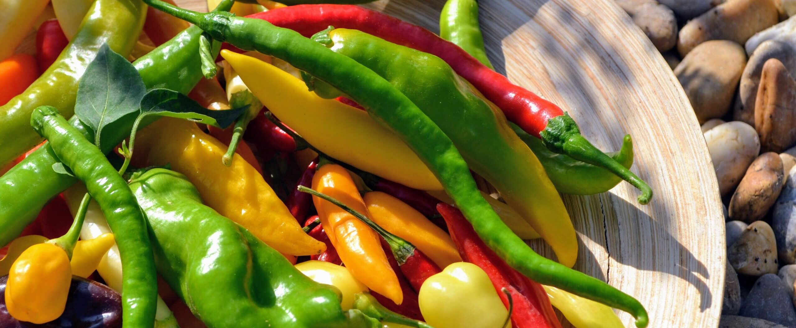 FIRE & ICE - Chili Festival