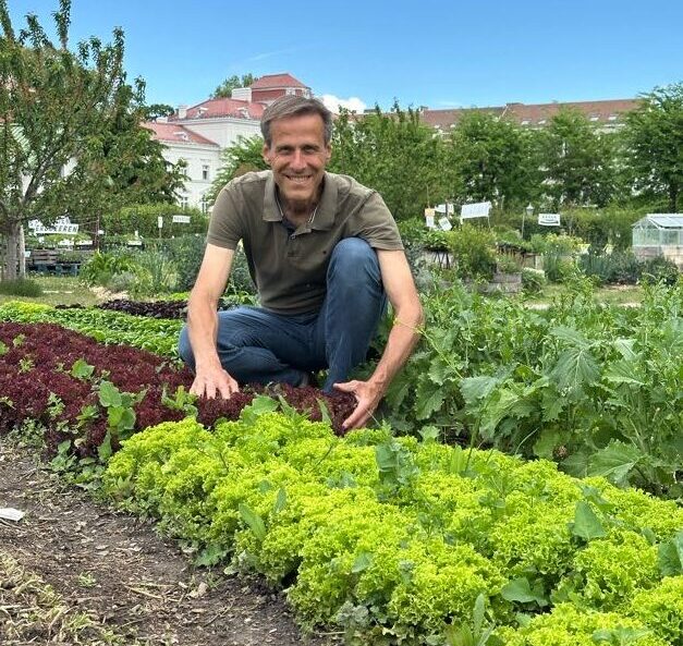 SCHICHTWECHSEL AM BEET - Lücken füllen – Nachpflanzen – Wintergemüse aussäen