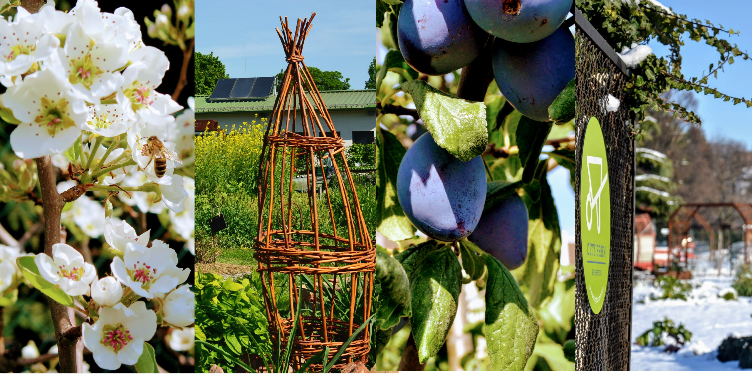 OFFENER GARTEN - besuchen Sie uns auf der City Farm